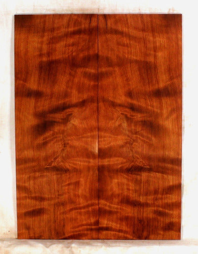 Madeira Drop Top Guitarra Baixo Flamed Redwood Usa Luthier FW69